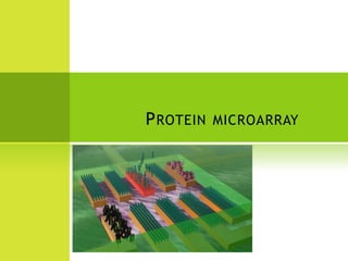 6. Classification methods/RDF methodFive different features/domains are used Each interacting protein pair is encoded as a string of 0, 1, and 2. The decision trees are constructed based on the training set of interacting protein pairs .Decisions are made if proteins under the question interact or not (‘‘yes’’ for interacting, ‘‘no’’ for non-interacting).