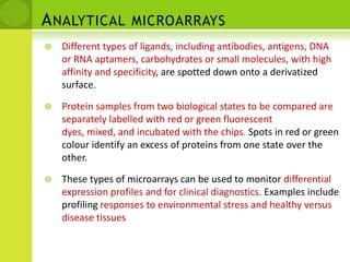 Protein microarray