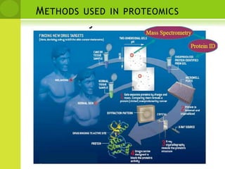 Methods used in proteomics