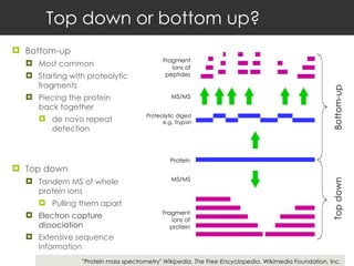Top down or bottom up? Bottom-up Most common  Starting with proteolytic fragments Piecing the protein back together  de novo repeat detection Top down Tandem MS of whole protein ions  Pulling them apart Electron capture dissociation Extensive sequence information Fragment ions of peptides MS/MS Proteolytic digest e.g. Trypsin Protein MS/MS Fragment ions of protein Bottom-up Top down ” Protein mass spectrometry"  Wikipedia, The Free Encyclopedia . Wikimedia Foundation, Inc. 