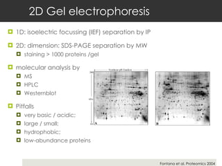 2D Gel electrophoresis 1D: isoelectric focussing (IEF) separation by IP 2D: dimension: SDS-PAGE separation by MW staining > 1000 proteins /gel molecular analysis by  MS HPLC Westernblot Pitfalls  very basic / acidic;  large / small; hydrophobic;  low-abundance proteins  Fontana et al. Proteomics 2004 