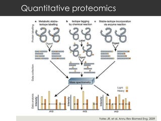 Quantitative proteomics Yates JR, et al. Annu Rev Biomed Eng. 2009 
