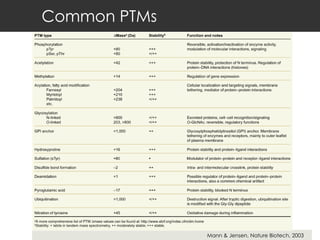 Common PTMs Mann & Jensen, Nature Biotech, 2003 