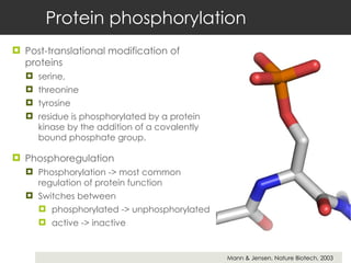 Protein phosphorylation  Post-translational modification of proteins  serine,  threonine  tyrosine  residue is phosphorylated by a protein kinase by the addition of a covalently bound phosphate group.  Phosphoregulation Phosphorylation -> most common regulation of protein function Switches between  phosphorylated -> unphosphorylated  active -> inactive Mann & Jensen, Nature Biotech, 2003 