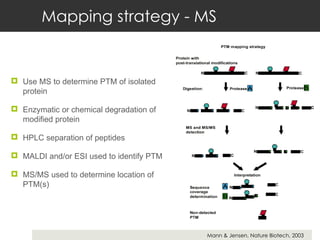 Mapping strategy - MS Use MS to determine PTM of isolated protein Enzymatic or chemical degradation of modified protein HPLC separation of peptides MALDI and/or ESI used to identify PTM MS/MS used to determine location of PTM(s) Mann & Jensen, Nature Biotech, 2003 
