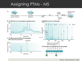 Assigning PTMs - MS Jensen, Nature Reviews, 2006 