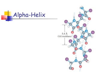 Alpha-Helix
 