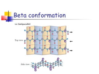 Beta conformation
 