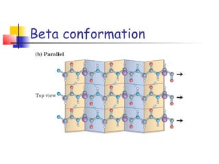 Beta conformation
 