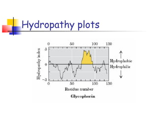Hydropathy plots
 