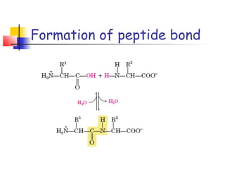 Formation of peptide bond
 