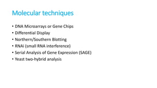 Molecular techniques
• DNA Microarrays or Gene Chips
• Differential Display
• Northern/Southern Blotting
• RNAi (small RNA interference)
• Serial Analysis of Gene Expression (SAGE)
• Yeast two-hybrid analysis
 