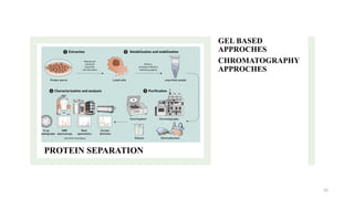 proteomics 10.....types of proteomics pptx | PPTX