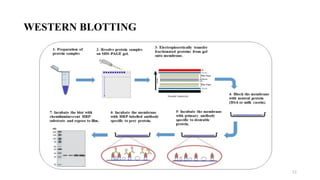 proteomics 10.....types of proteomics pptx | PPTX