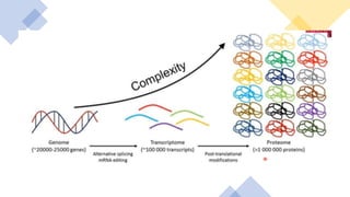 PROTEOMICS is the study of proteins at the molecular level. | PPTX