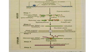 PROTEOMICS is the study of proteins at the molecular level. | PPTX