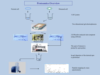 Proteomics course 1 | PPT
