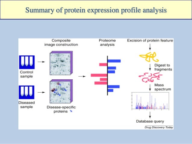 Proteomics course 1