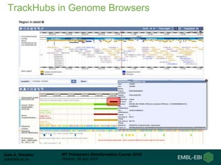 Juan A. Vizcaíno
juan@ebi.ac.uk
WT Proteomics Bioinformatics Course 2018
Hinxton, 18 July 2018
TrackHubs in Genome Browsers
 