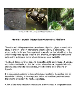 Protein - protein interaction Proteomics Platform The attached slide presentation describes a high throughput screen for the study of protein - protein interactions under a variety of conditions.  The assay design is derived from a general screen for protein identification that was developed to replace Western blot analysis, and provide quantitative data, using a standard curve, when standards were available. The basic design involves trapping the protein onto a solid support, using a monoclonal antibody, so that the protein molecules are trapped uniformly, allowing the protein to be quantized, even bound to other proteins or ligands.  If a monoclonal antibody to the protein is not available, the protein can be bound via its his tag or other epitope, to insure a uniform presentation to the binding proteins in the next assay steps.  A few of the many research applications are described in the presentation.   Scenes from the UCLA campus and Botannical Garden  