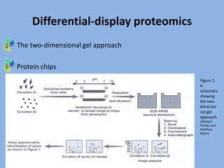 Proteomics | PDF