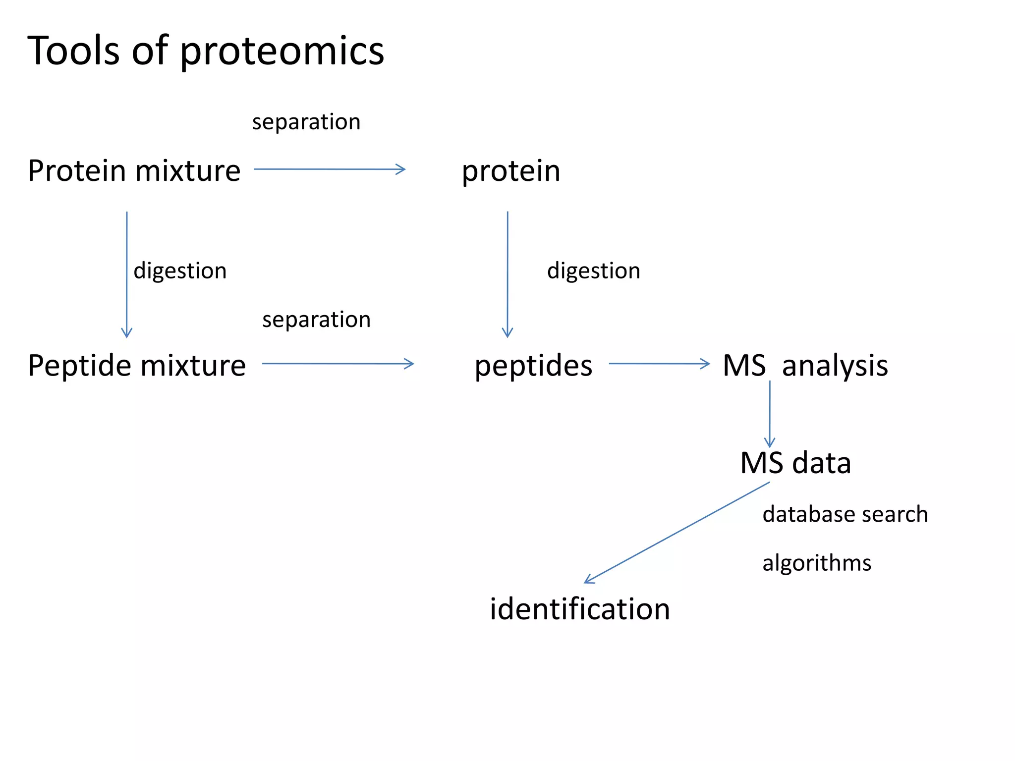 Tools of proteomics
separation
Protein mixture protein
digestion digestion
separation
Peptide mixture peptides MS analysis
MS data
database search
algorithms
identification
 