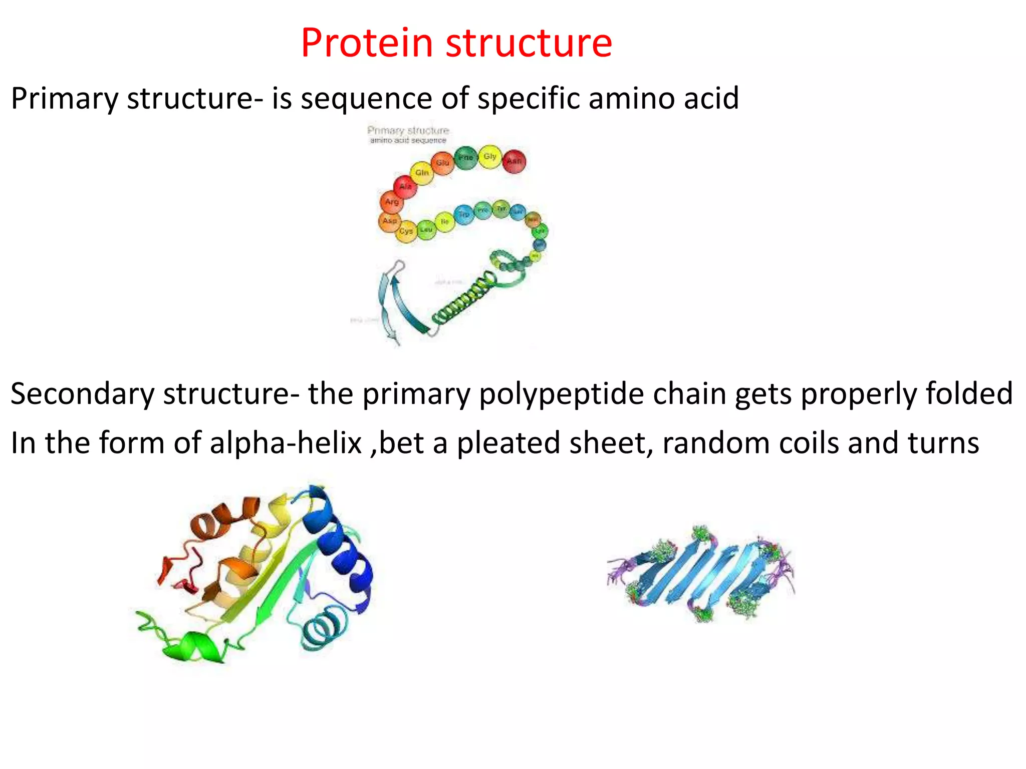 Protein structure
Primary structure- is sequence of specific amino acid
Secondary structure- the primary polypeptide chain gets properly folded
In the form of alpha-helix ,bet a pleated sheet, random coils and turns
 