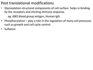 Post translational modifications
• Glycosylation-structural components of cell surface helps in binding
by the receptors and eliciting immune response.
eg. ABO blood group antigen, Human IgG
• Phosphorylation – play a role in the regulation of many cell processes
such as growth and cell cycle control.
• Sulfation
 