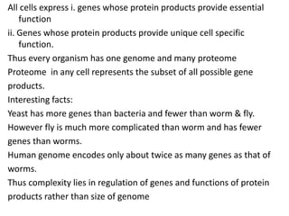 All cells express i. genes whose protein products provide essential
function
ii. Genes whose protein products provide unique cell specific
function.
Thus every organism has one genome and many proteome
Proteome in any cell represents the subset of all possible gene
products.
Interesting facts:
Yeast has more genes than bacteria and fewer than worm & fly.
However fly is much more complicated than worm and has fewer
genes than worms.
Human genome encodes only about twice as many genes as that of
worms.
Thus complexity lies in regulation of genes and functions of protein
products rather than size of genome
 