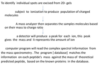 To identify individual spots are excised from 2D- gels
subject to ionization to produce population of charged
molecules
A mass analyzer then separates the samples molecules based
on their mass to charge ratio
a detector will produce a peak for each ion, this peak
gives the mass and it represents the amount of ion
computer program will read the complex spectral information from
the mass spectrometry . The program [ database] matches the
information on each peptide’s mass against the mass of theoretical
predicted peptide, based on the known proteins in the database.
 