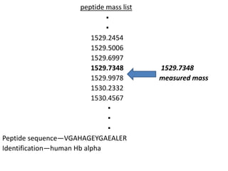 peptide mass list
▪
▪
1529.2454
1529.5006
1529.6997
1529.7348 1529.7348
1529.9978 measured mass
1530.2332
1530.4567
▪
▪
▪
Peptide sequence—VGAHAGEYGAEALER
Identification—human Hb alpha
 
