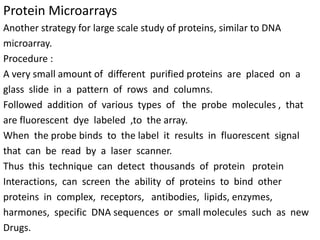 Protein Microarrays
Another strategy for large scale study of proteins, similar to DNA
microarray.
Procedure :
A very small amount of different purified proteins are placed on a
glass slide in a pattern of rows and columns.
Followed addition of various types of the probe molecules , that
are fluorescent dye labeled ,to the array.
When the probe binds to the label it results in fluorescent signal
that can be read by a laser scanner.
Thus this technique can detect thousands of protein protein
Interactions, can screen the ability of proteins to bind other
proteins in complex, receptors, antibodies, lipids, enzymes,
harmones, specific DNA sequences or small molecules such as new
Drugs.
 