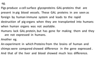 eg.
Pigs produce a cell surface glycoproteins GAL-proteins that are
present in pig blood vessels. These GAL proteins in are seen as
foreign by human immune system and leads to the rapid
destruction of pig organs when they are transplanted into humans
when human organs was not available.
Humans lack GAL protein, but has gene for making them and they
are not expressed in humans.
Another eg.
An experiment in which Proteins from the brains of human and
chimps were compared showed difference in the gene expressed .
And that of the liver and blood showed much less difference.
 