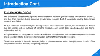 Errb 2 Cellular responses to ErbB-2 overexpression in human mammary luminal ...