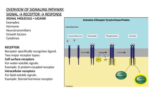 Comprehensive Overview of Cellular Communication and Signal ...