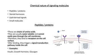 Comprehensive Overview of Cellular Communication and Signal ...