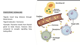 Comprehensive Overview of Cellular Communication and Signal ...