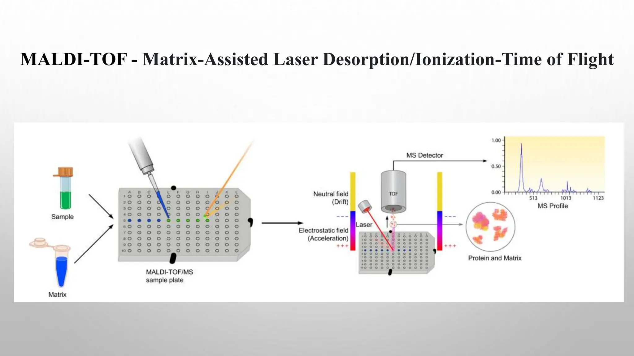 MALDI-TOF - Matrix-Assisted Laser Desorption/Ionization-Time of Flight
 