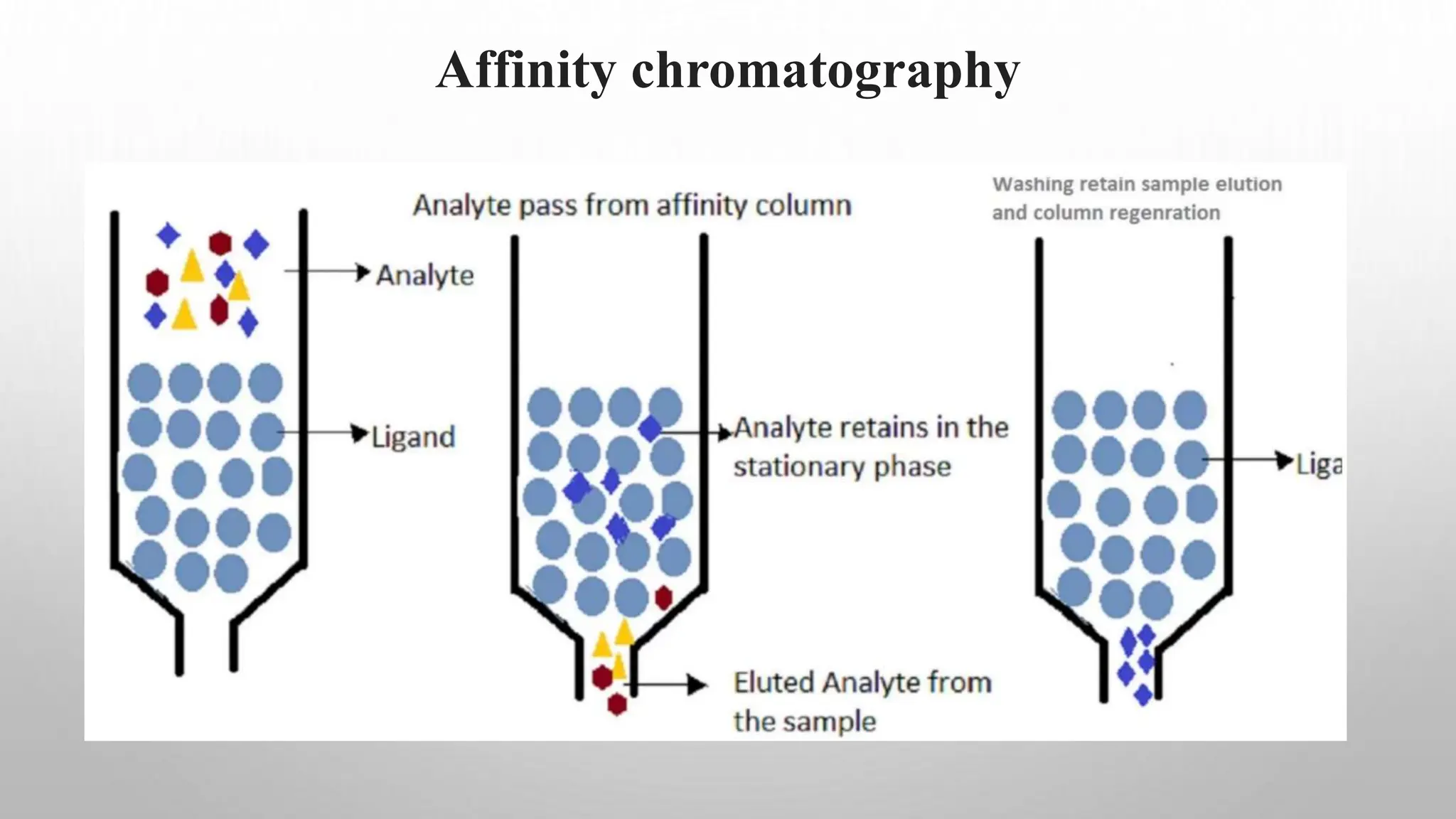 Affinity chromatography
 