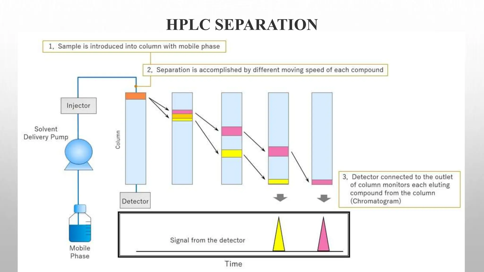 HPLC SEPARATION
 