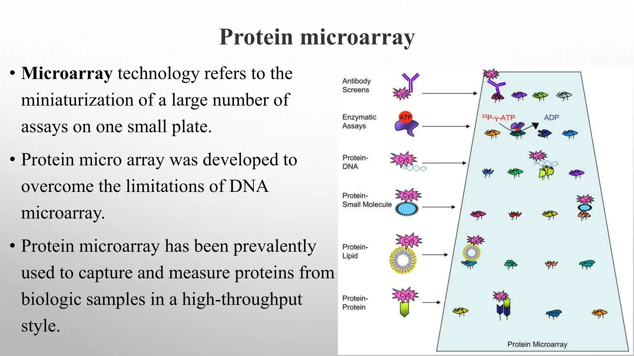Protein microarray
• Microarray technology refers to the
miniaturization of a large number of
assays on one small plate.
• Protein micro array was developed to
overcome the limitations of DNA
microarray.
• Protein microarray has been prevalently
used to capture and measure proteins from
biologic samples in a high-throughput
style.
 