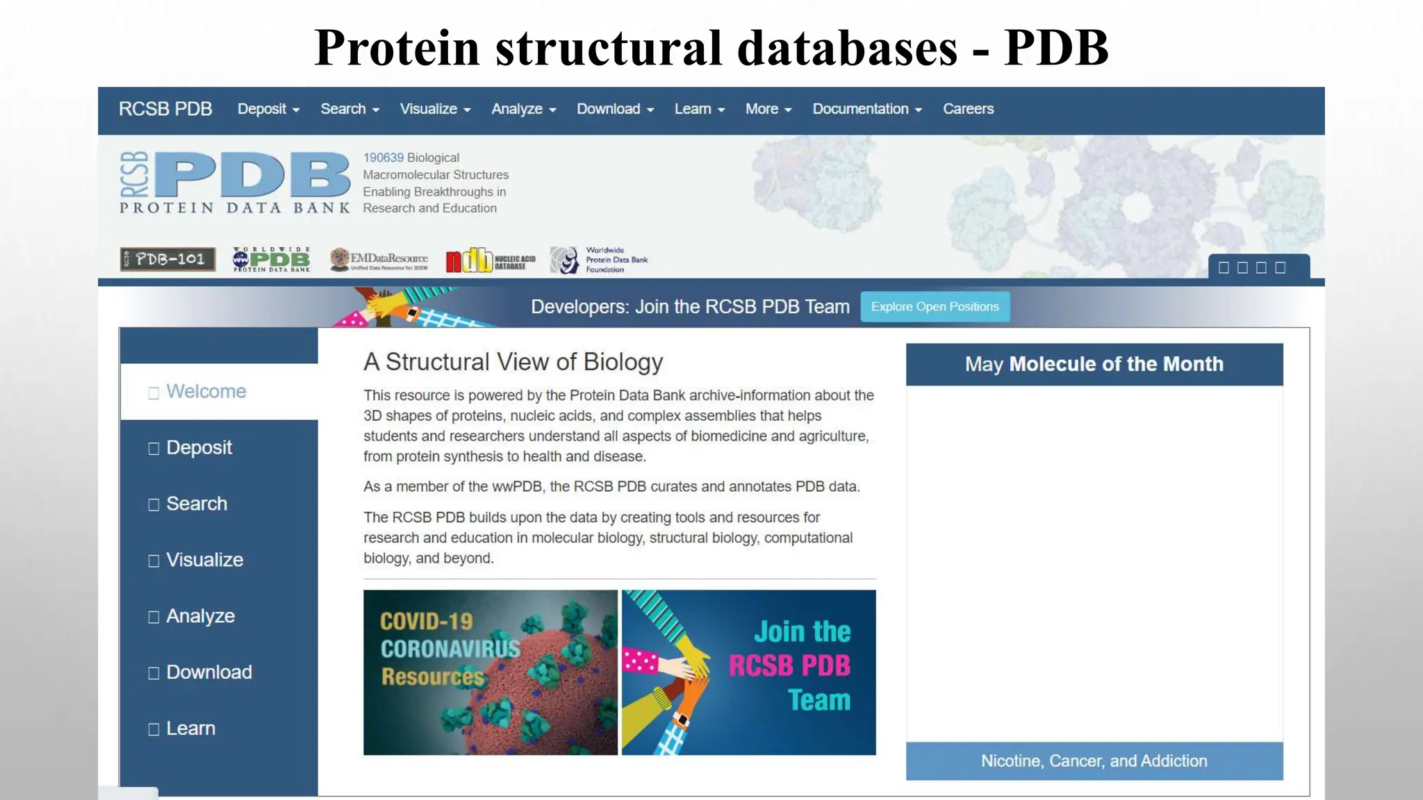 Protein structural databases - PDB
 