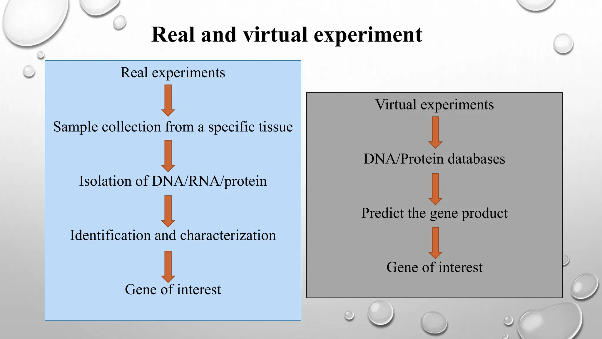 Real experiments
Sample collection from a specific tissue
Isolation of DNA/RNA/protein
Identification and characterization
Gene of interest
Virtual experiments
DNA/Protein databases
Predict the gene product
Gene of interest
Real and virtual experiment
 