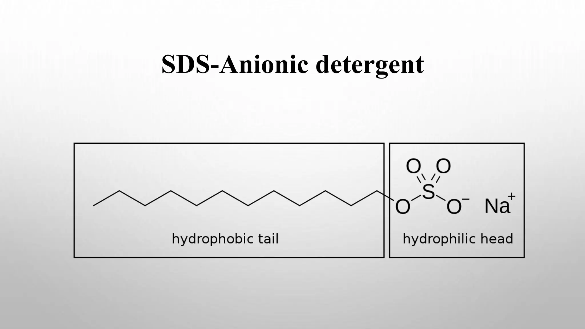 SDS-Anionic detergent
 