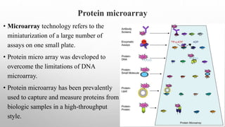 Proteomics in VSC for crop improvement programme | PPTX