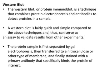 Western Blot
• The western blot, or protein immunoblot, is a technique
that combines protein electrophoresis and antibodies to
detect proteins in a sample.
• A western blot is fairly quick and simple compared to
the above techniques and, thus, can serve as
an assay to validate results from other experiments.
• The protein sample is first separated by gel
electrophoresis, then transferred to a nitrocellulose or
other type of membrane, and finally stained with a
primary antibody that specifically binds the protein of
interest.
 