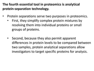 The fourth essential tool in proteomics is analytical
protein-separation technology.
• Protein separations serve two purposes in proteomics.
• First, they simplify complex protein mixtures by
resolving them into individual proteins or small
groups of proteins.
• Second, because they also permit apparent
differences in protein levels to be compared between
two samples, protein analytical separations allow
investigators to target specific proteins for analysis.
 