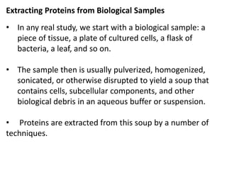 Extracting Proteins from Biological Samples
• In any real study, we start with a biological sample: a
piece of tissue, a plate of cultured cells, a flask of
bacteria, a leaf, and so on.
• The sample then is usually pulverized, homogenized,
sonicated, or otherwise disrupted to yield a soup that
contains cells, subcellular components, and other
biological debris in an aqueous buffer or suspension.
• Proteins are extracted from this soup by a number of
techniques.
 