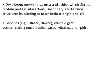• Denaturing agents (e.g., urea and acids), which disrupt
protein protein interactions, secondary and tertiary
structures by altering solution ionic strength and pH
• Enzymes (e.g., DNAse, RNAse), which digest
contaminating nucleic acids, carbohydrates, and lipids.
 