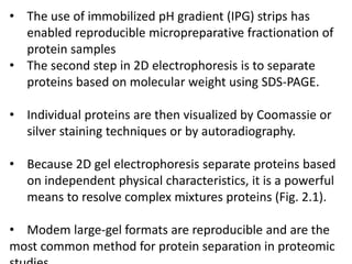 • The use of immobilized pH gradient (IPG) strips has
enabled reproducible micropreparative fractionation of
protein samples
• The second step in 2D electrophoresis is to separate
proteins based on molecular weight using SDS-PAGE.
• Individual proteins are then visualized by Coomassie or
silver staining techniques or by autoradiography.
• Because 2D gel electrophoresis separate proteins based
on independent physical characteristics, it is a powerful
means to resolve complex mixtures proteins (Fig. 2.1).
• Modem large-gel formats are reproducible and are the
most common method for protein separation in proteomic
 